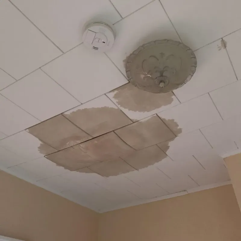 Ceiling Water Damage Repair in Shannon, MS