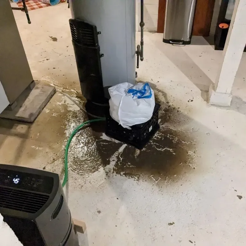 Sewage Backup Cleanup Service in Shannon, MS